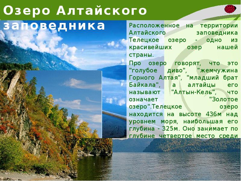 Алтайский край презентация 4 класс окружающий мир