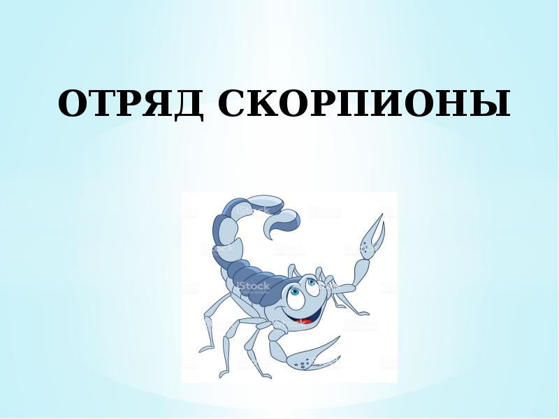 Скорпионы отряды животных. Скорпионы отряды животных