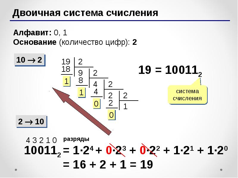 Определите основание числа. Разряды в двоичной системе счисления. 210 В двоичной системе. Основание числа 0. 8348400. Бинарная система 0 ложь.