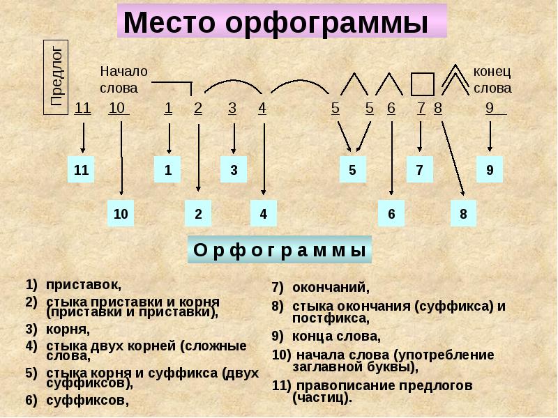 Правописание частей слова 3 класс презентация