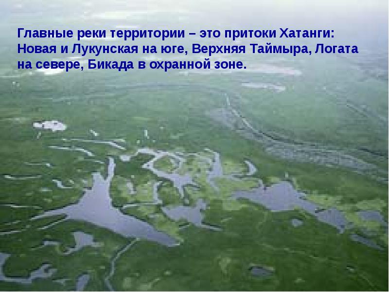 Территория реки. Таймырский заповедник Красноярский край, Хатанга. Река логата Таймыр. Таймырский заповедник река верхняя Таймыра. Таймырский заповедник презентация.