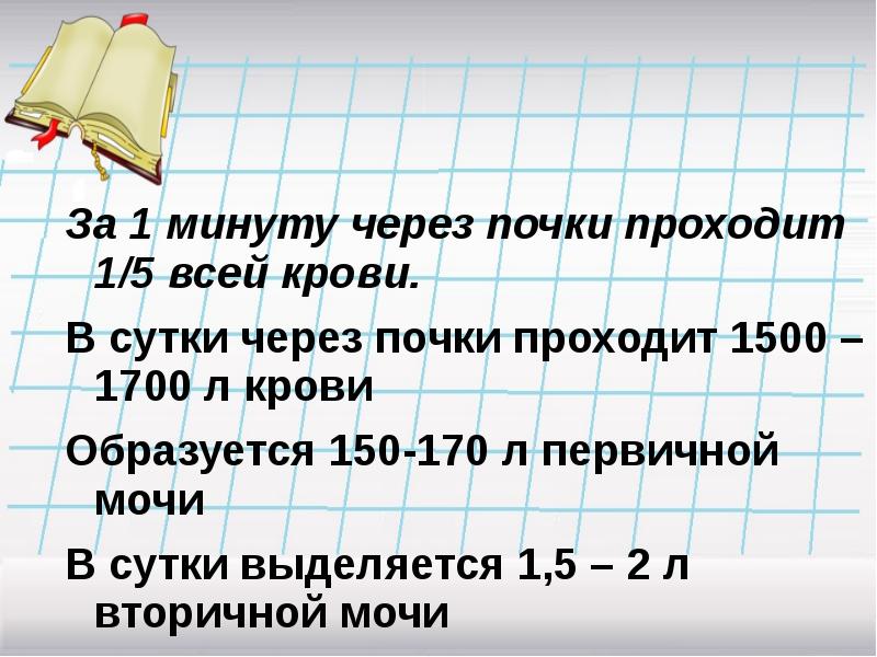 Физиология выделения презентация