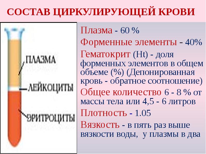 СОСТАВ ЦИРКУЛИРУЮЩЕЙ КРОВИ
Плазма - 60 %
Форменные элементы - 40%
СОСТАВ ЦИРКУЛИРУЮЩЕЙ КРОВИ
Плазма - 60 %
Форменные элементы - 40%