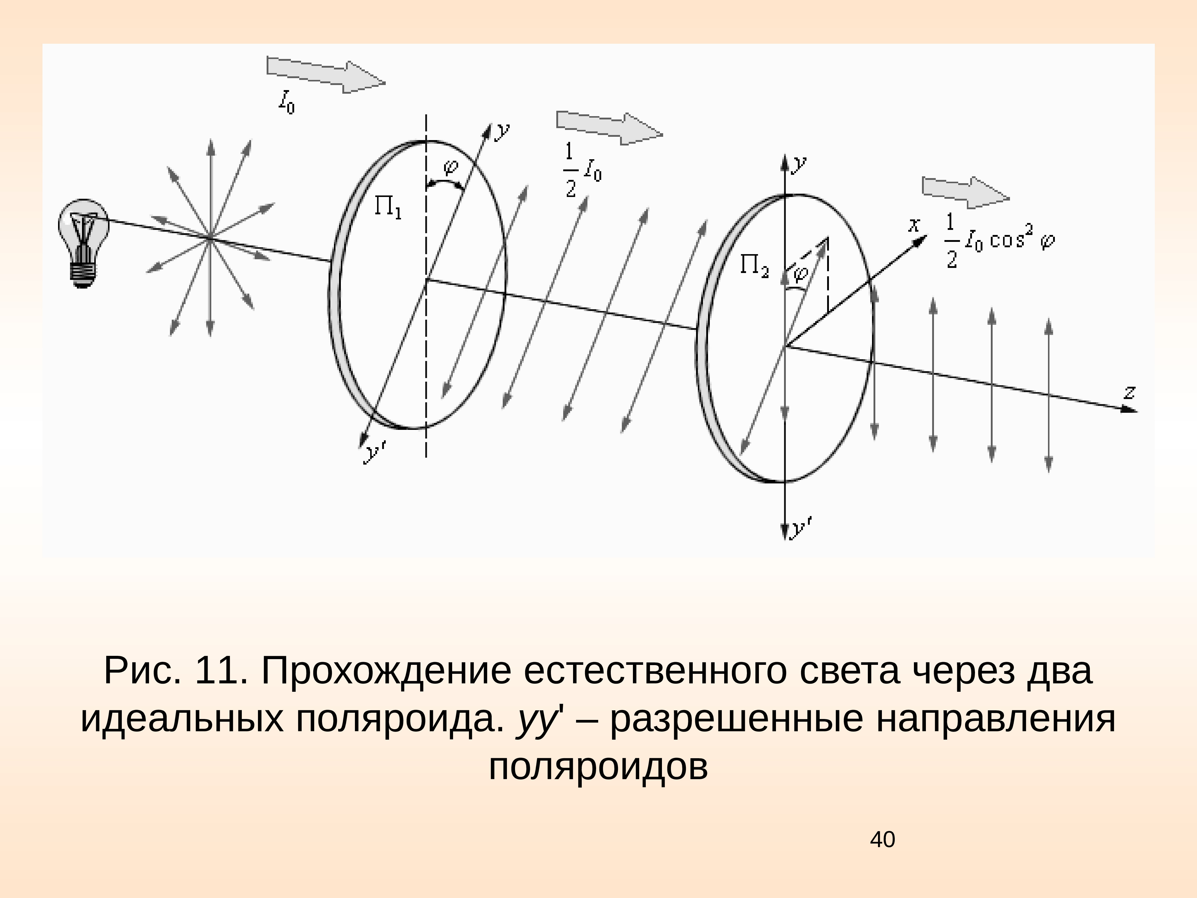 Рисунок естественного света