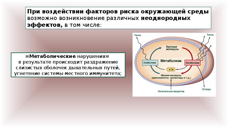 Презентация 9 класс образование и наука