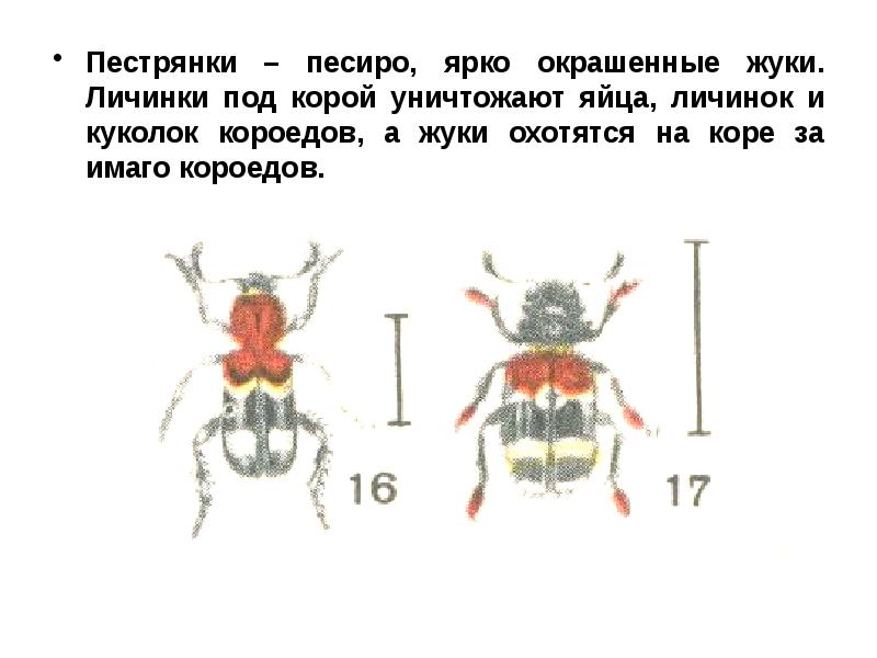 Биологические методы борьбы презентация