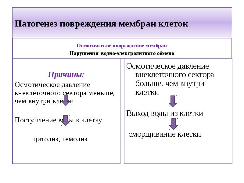 Повреждение клетки патофизиология презентация