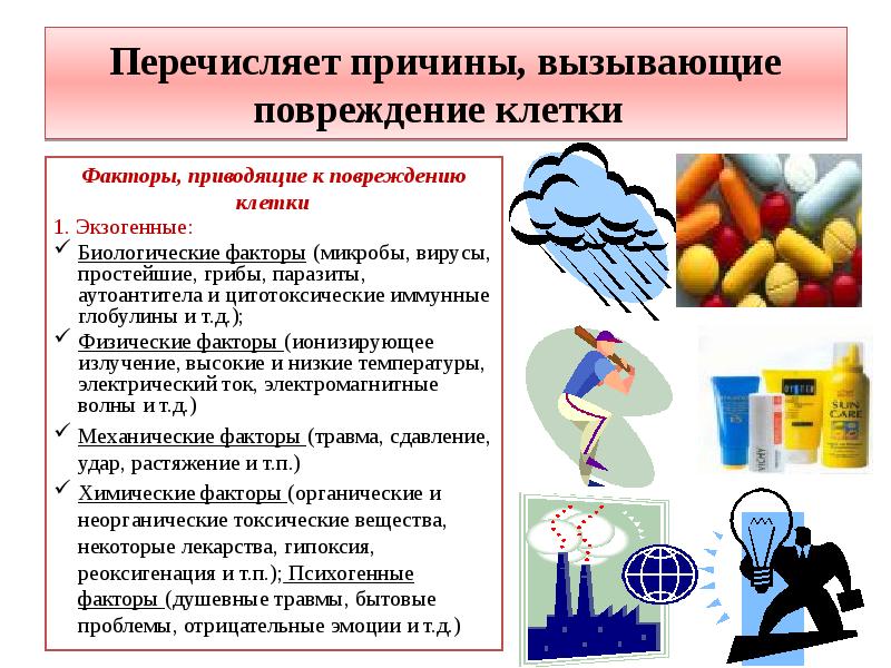 Общая патология презентация