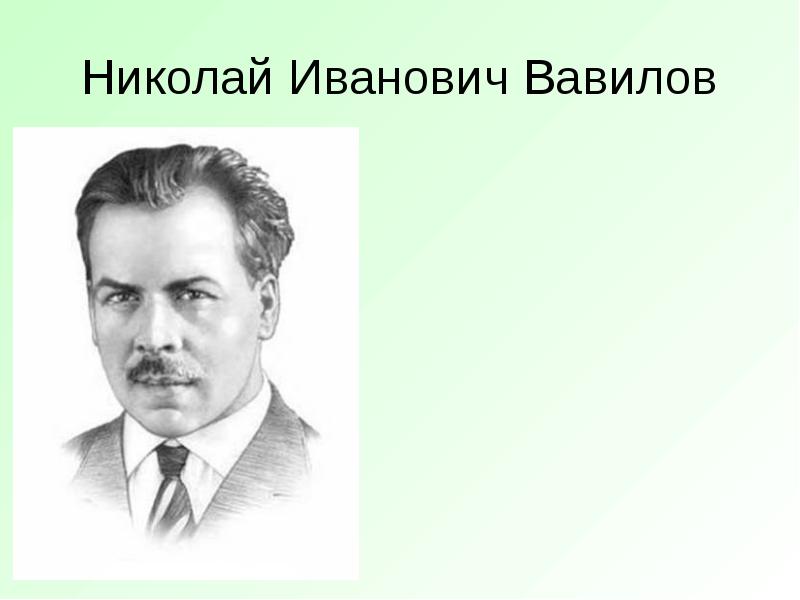 Презентация о вавилове николае ивановиче