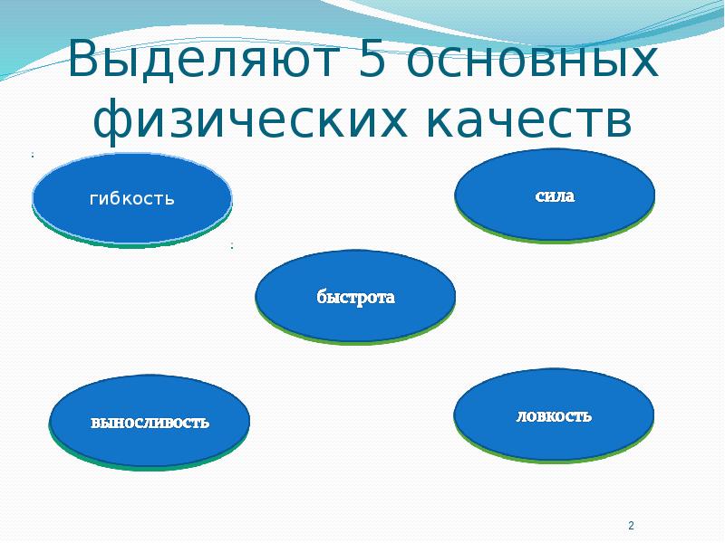 Основные физические качества обеспечивающие высокий уровень здоровья схема