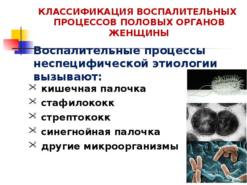 Неспецифические заболевания женских половых органов