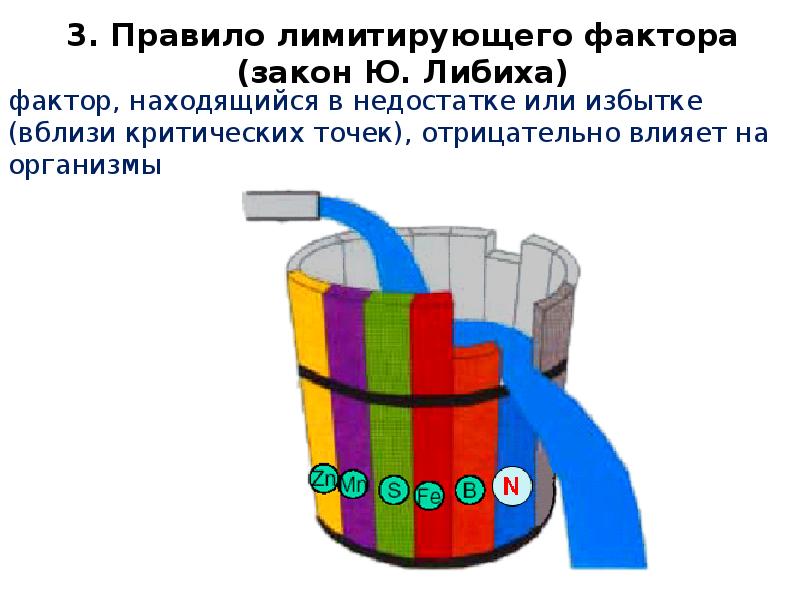 Закон ограничивающего фактора презентация