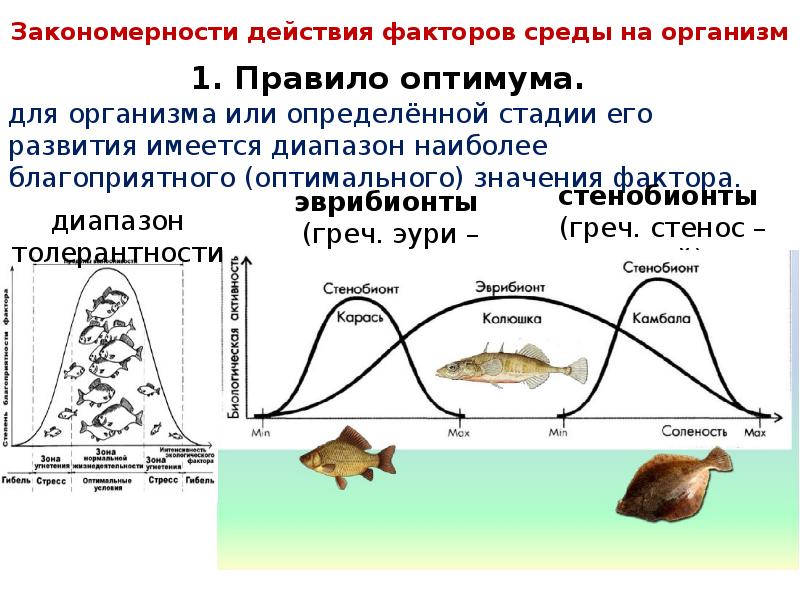 На рисунке продемонстрирована схема зависимости степени благоприятности действия фактора на живые