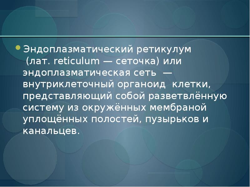 Экологическая экономическая эффективность проекта внутрихозяйственного землеустройства