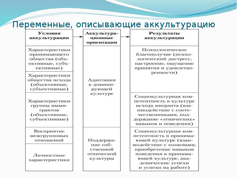 Виды культур в процессе аккультурации