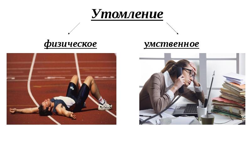 Умственное утомление презентация