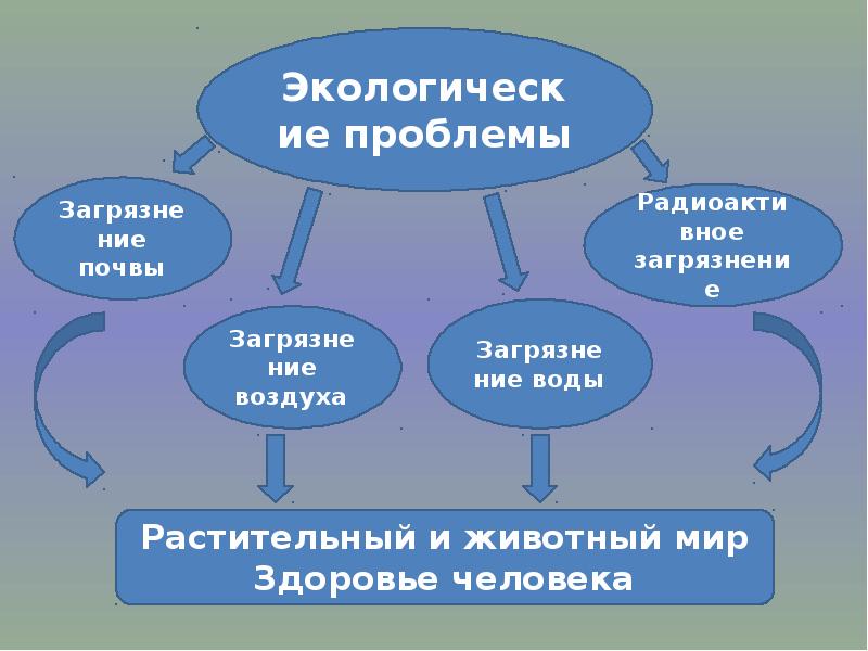 Экологические проблемы челябинска проект