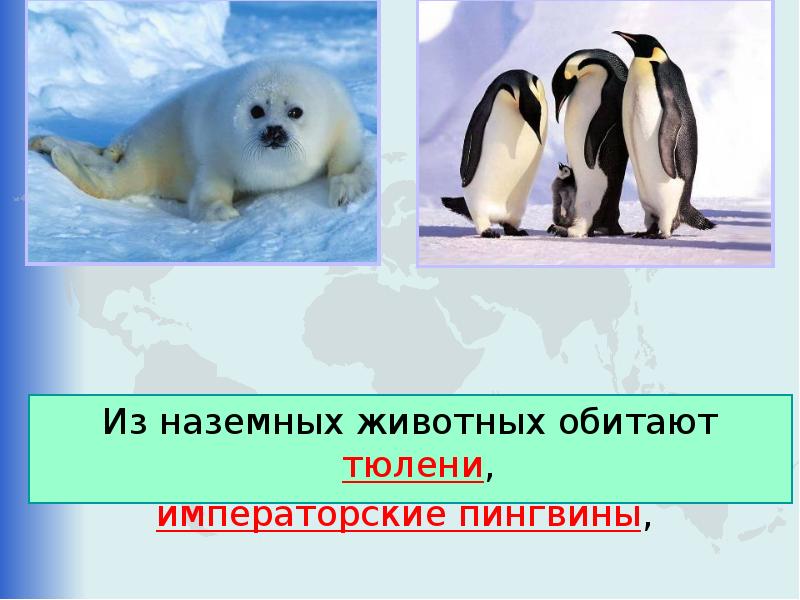 Урок окружающего мира 2 класс школа россии путешествие по планете презентация