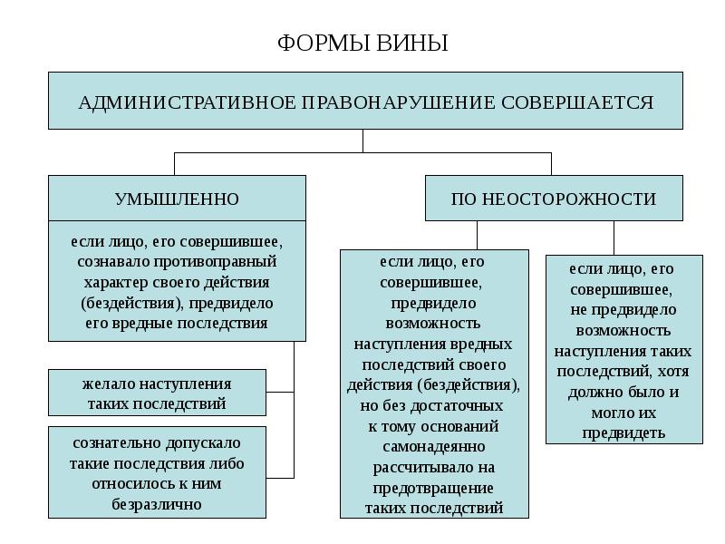 Правонарушение это схема