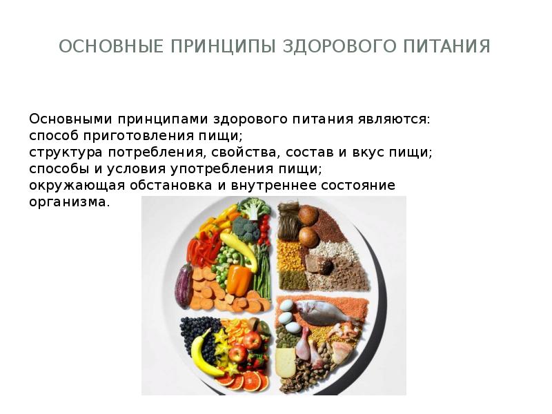 Общие принципы питания. Принципы здорового питания. Виды питания. Основные виды пищи.