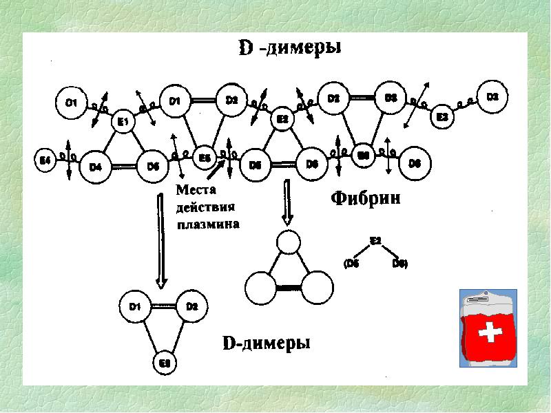 Основные компоненты гемостаза. Компоненты гемостаза. Димеры это в химии. Поливинилацетилен основные компоненты. Димеры это в биологии.