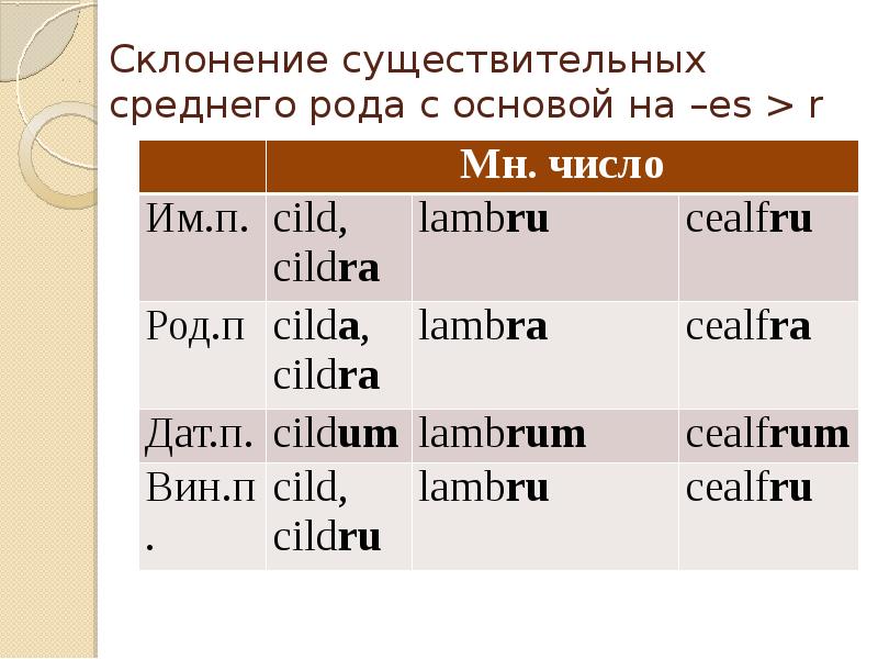 Средний род в европе