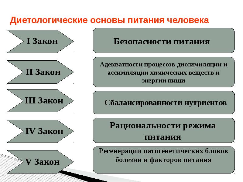 Основы питания. Основы лечебного питания. Диетологические основы питания человека. Основы безопасного питания.. Закон безопасности питания.