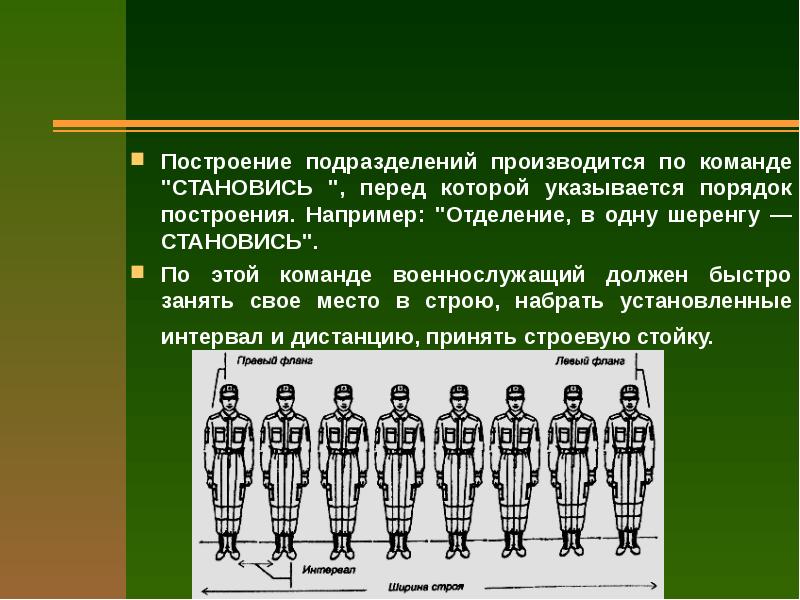 По какой команде принимается строевая стойка. Построение в одну шеренгу. В одну шеренгу становись. Порядок построения подразделения. Построение в одну шеренгу команда.