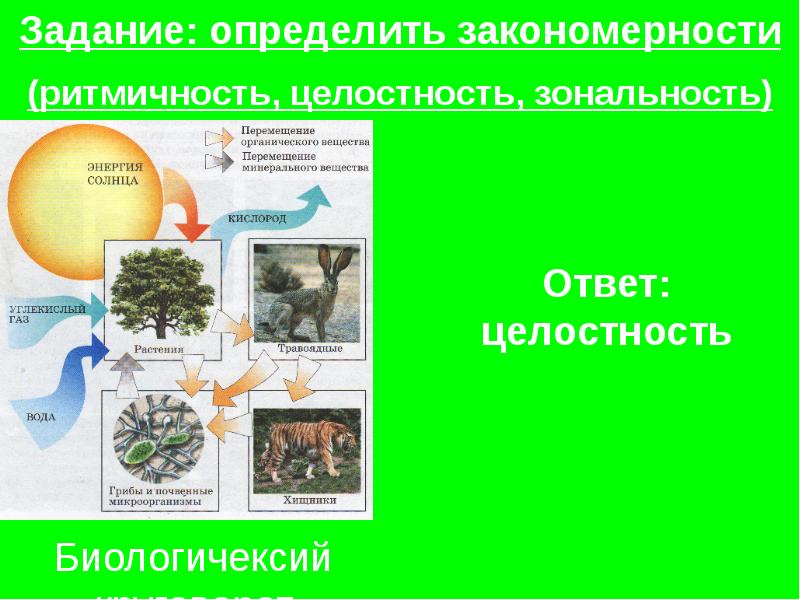 Особенности географической оболочки 6 класс презентация