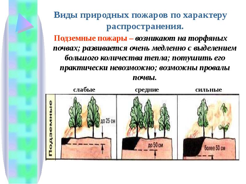 Дополните схему о видах природных пожаров