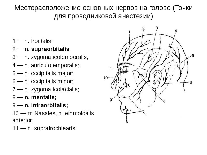 Оперативная хирургия лицевого отдела головы презентация