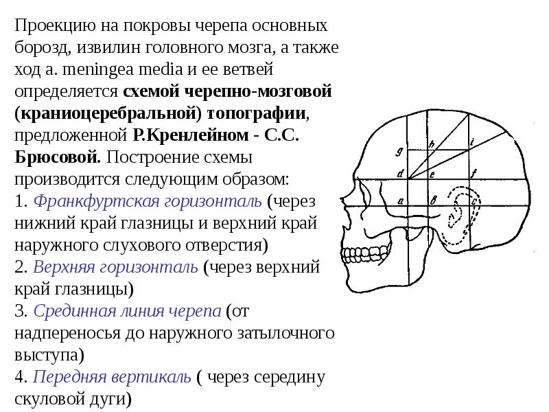 Схема черепно мозговой топографии схема кренлейна