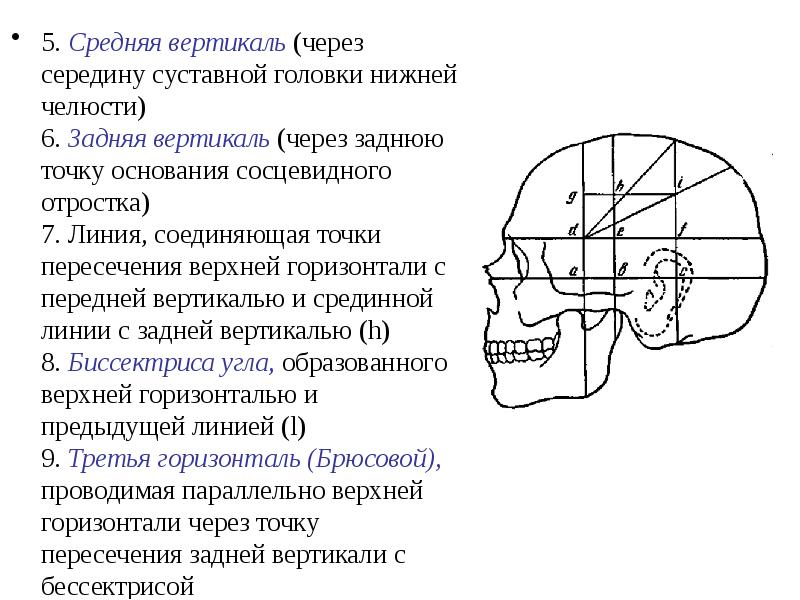 Схема черепно мозговой топографии схема кренлейна