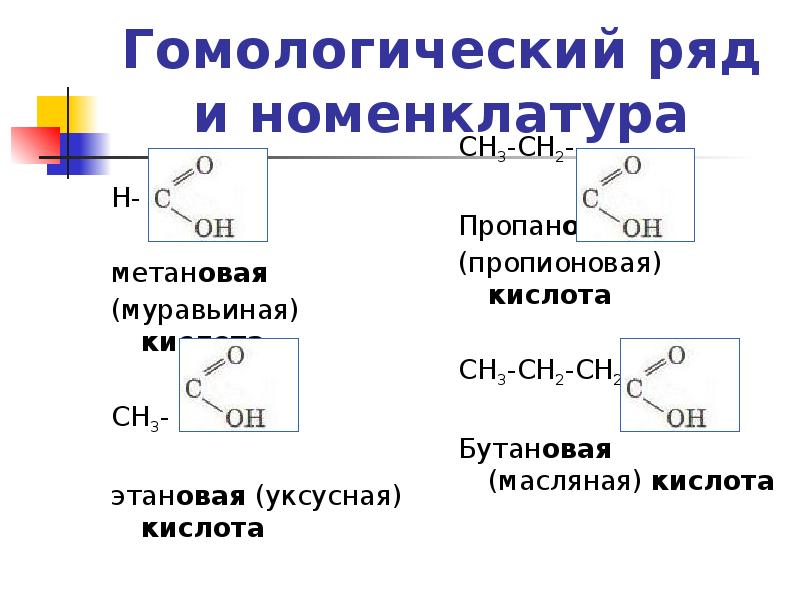 Муравьиная и уксусная кислота презентация