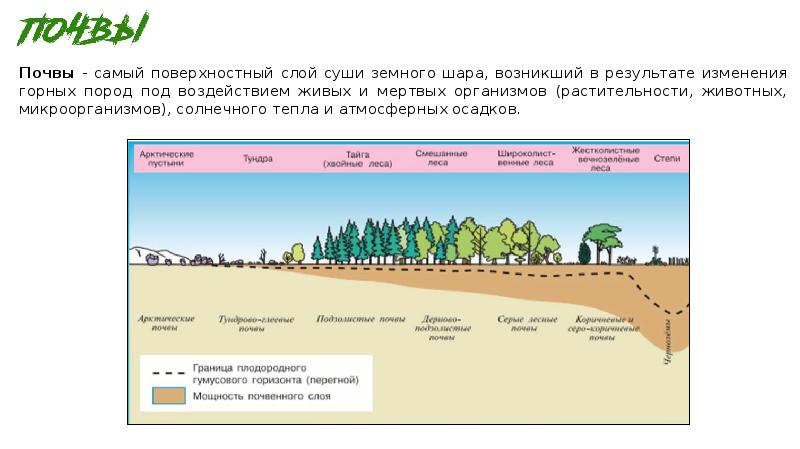 Почвы 7 класс. Поверхностный слой суши. Поверхность слой суши. Изменение поверхности слой. Слой почвы наиболее богатый микроорганизмами.