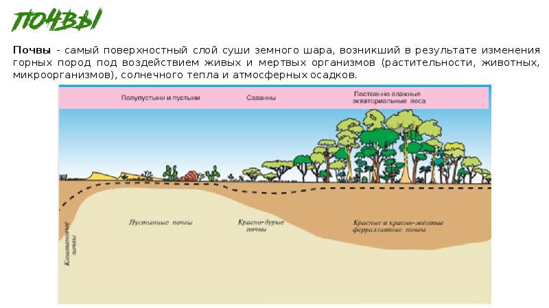 Природные зоны 6 класс география презентация полярная звезда