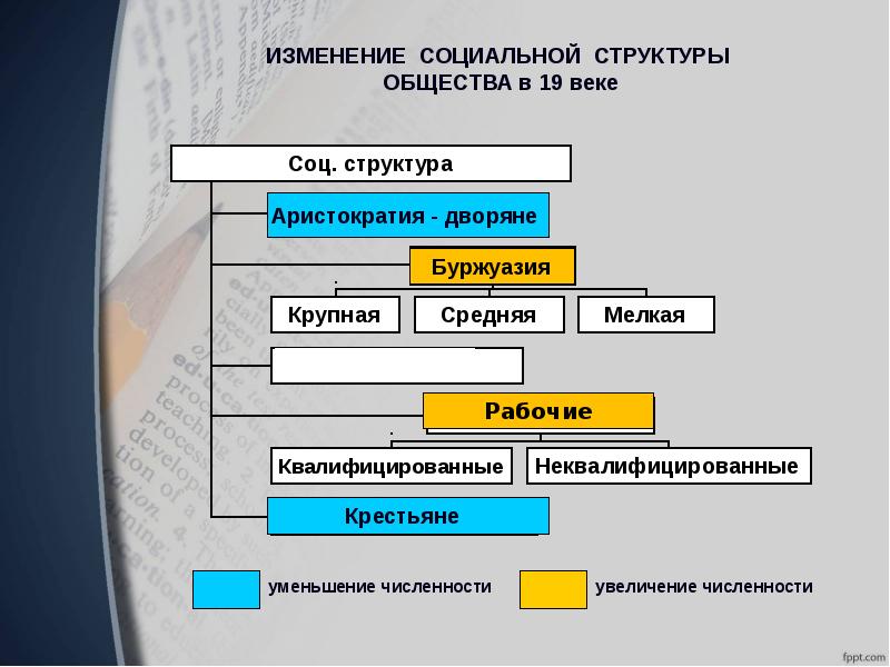 Схема германского общества