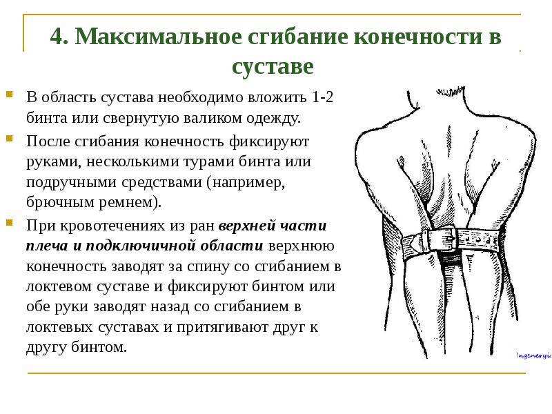 Максимальное сгибание конечности в суставе фото