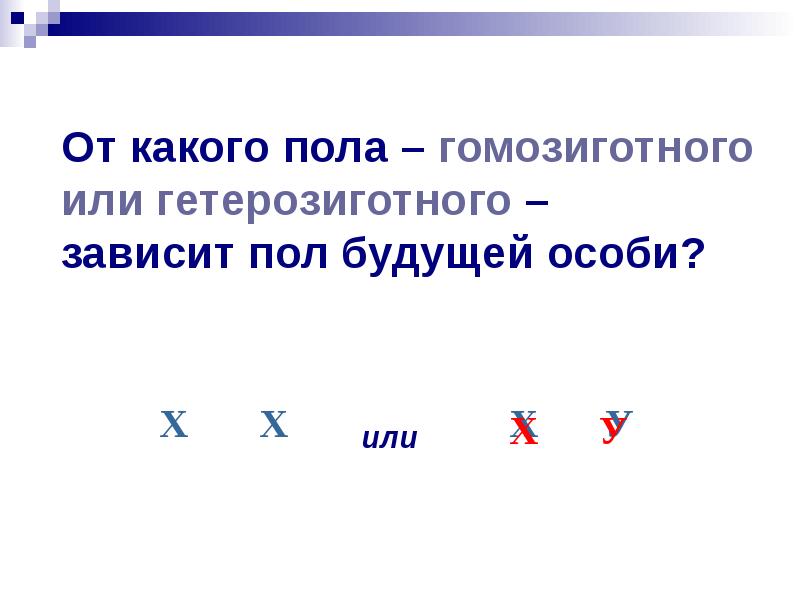 Генетика пола тест. Гомозиготный пол. Местоположение будущей особи. Какая особь называется гомозиготной. От чего зависит пол будущей особи.