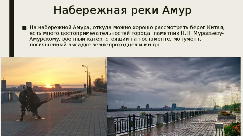 Река амур проект