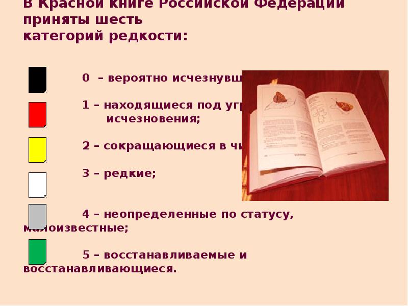 Исследовательский проект красная книга