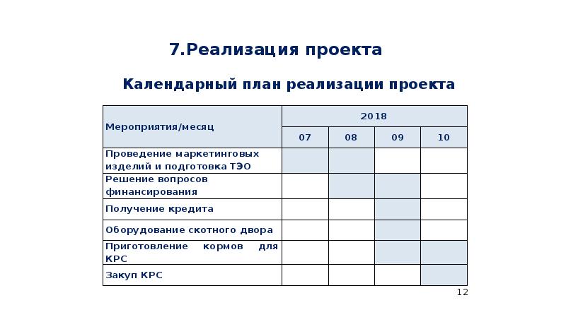 Календарный план реализации проекта бизнес плана