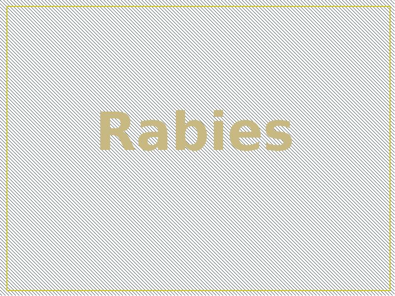 Rabies Rabies