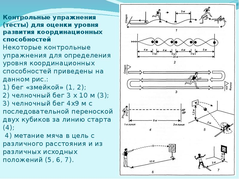 Челночный бег схема