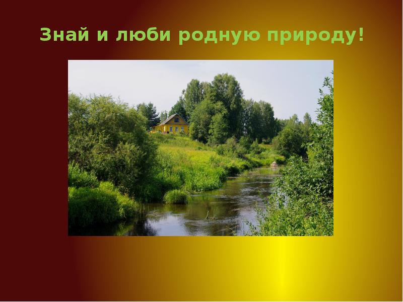 Проект природа родного края. Знай и люби родную природу. Природа родного края Иркутская область. Знай и люби родную природу 4 класс. Растения родного края Иркутская область.