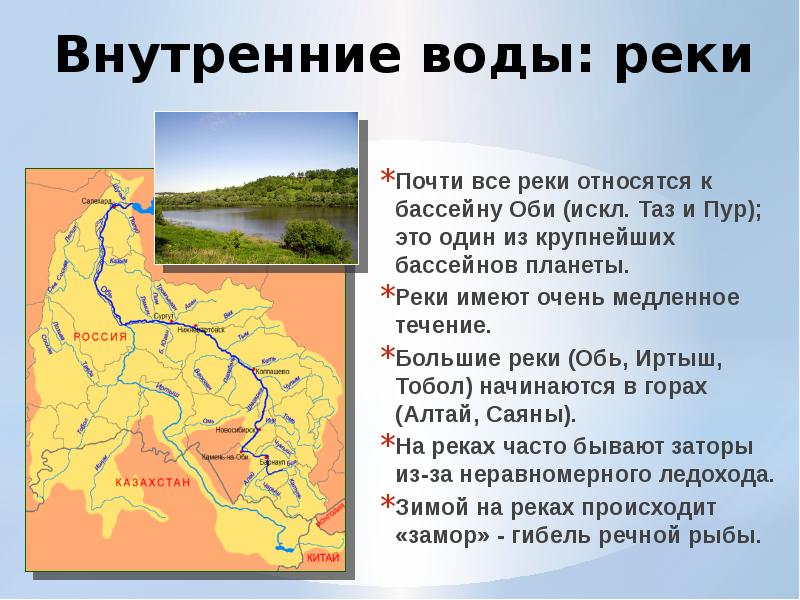 Внутренние воды: реки Почти все реки относятся к бассейну Оби (искл.