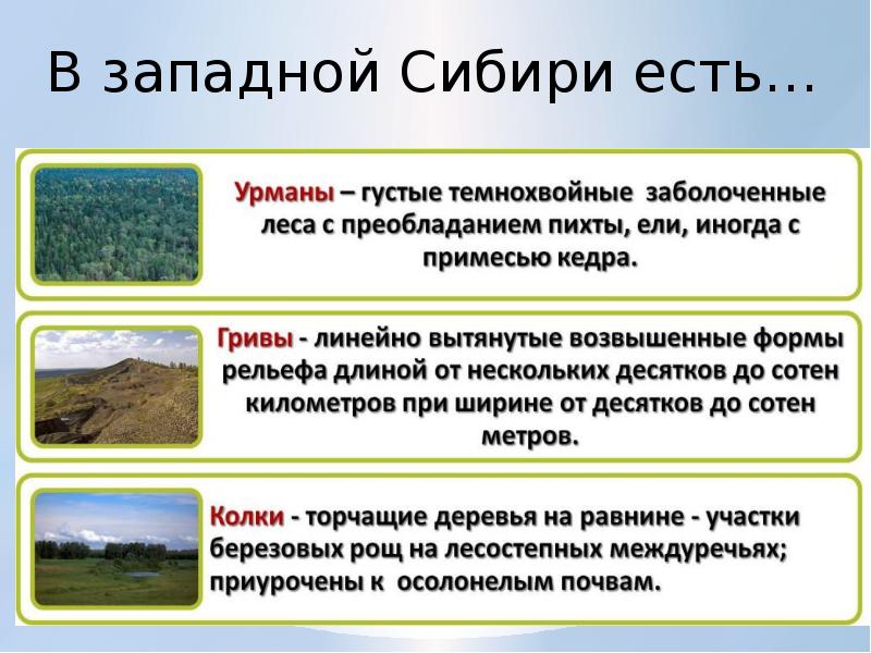 Западно сибирская равнина особенности природы презентация 8 класс