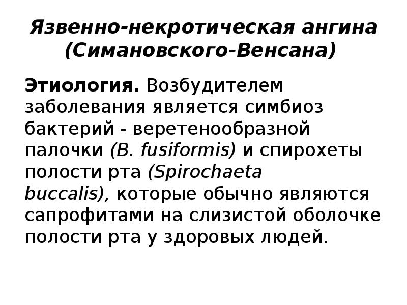 Язвенно-некротическая ангина (Симановского-Венсана)
Этиология. Возбудителем заболевания является симбиоз бактерий - веретенообразной палочки (B. Язвенно-некротическая ангина (Симановского-Венсана)
Этиология. Возбудителем заболевания является симбиоз бактерий - веретенообразной палочки (B.