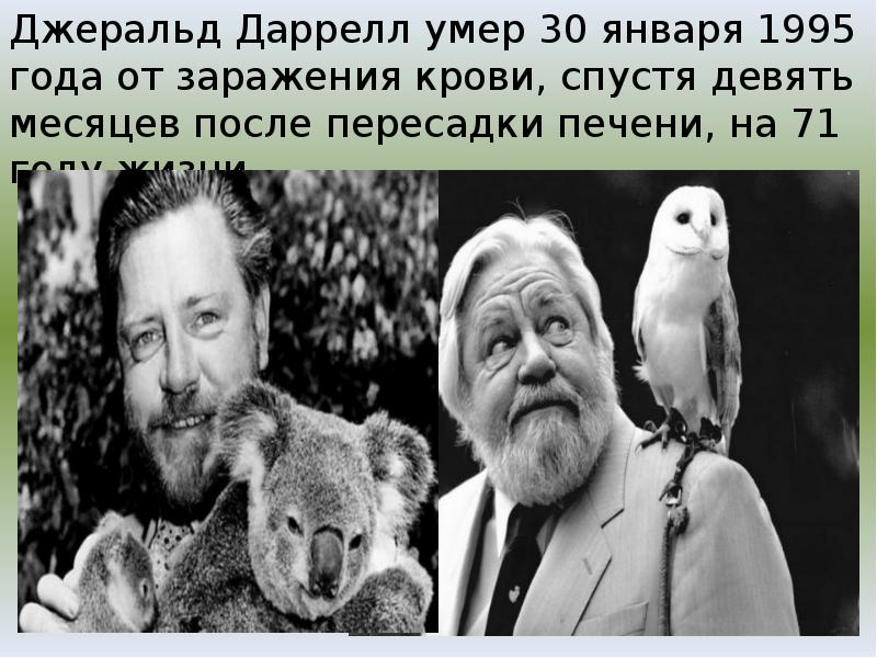 Джеральд даррелл краткое содержание. Великобритания Джеральд Даррелл. Джеральд Даррелл 4 класс. Джеральд Даррелл могила.