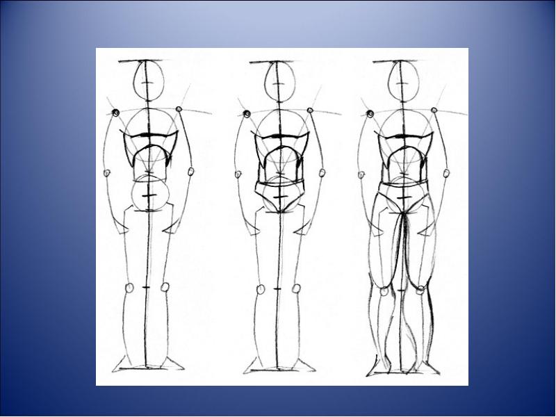 Какие фигуры человека выше внимательно рассмотрите рисунок. Человек рисунок. Пропорции фигуры. Фигура человека 7 класс. Фигура человека 6 класс.